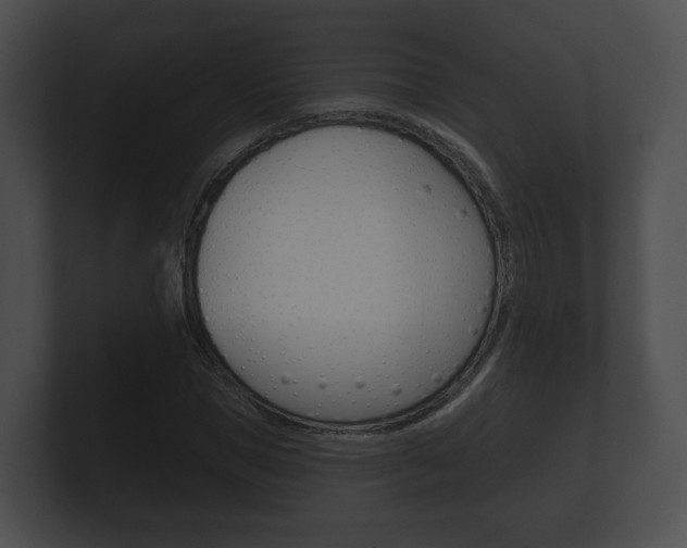 X0000100890921200806241006