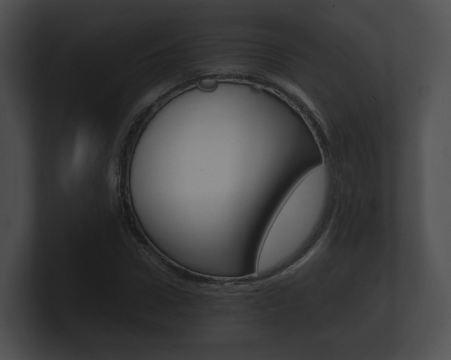 X0000100890922200806241006
