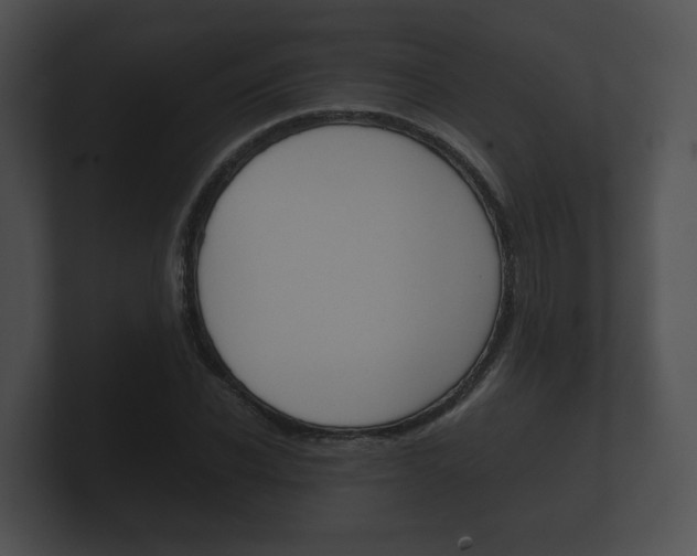 X0000100890926200806241006