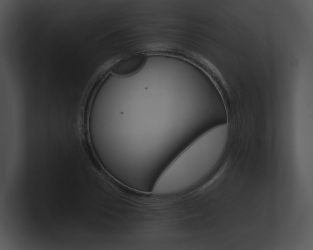 X0000100890930200806241006