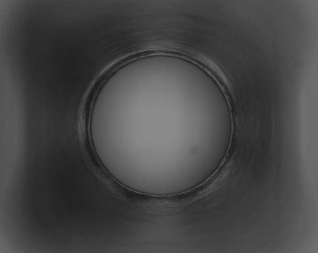 X0000100890931200806241006