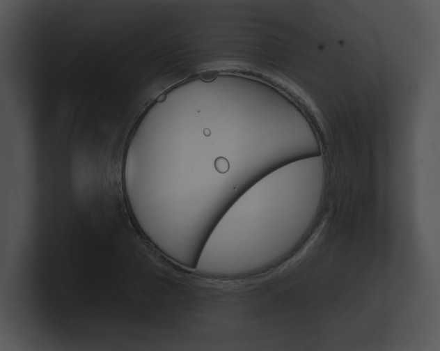 X0000100890937200806241006