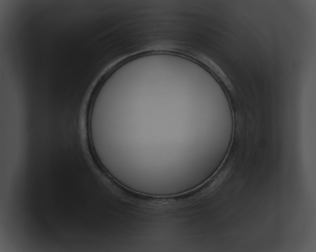 X0000100890939200806241006