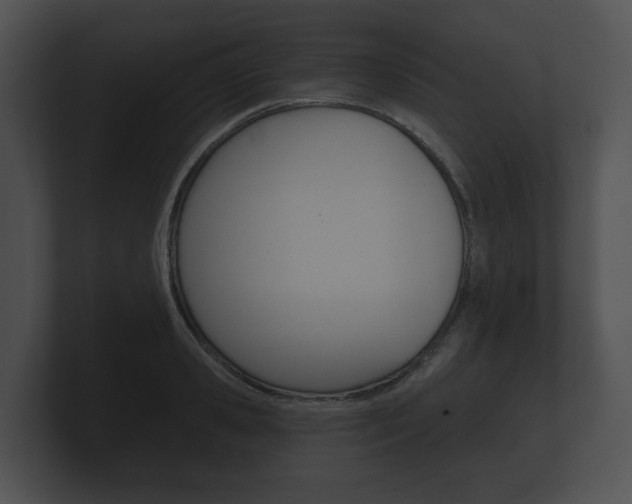 X0000100890941200806241006