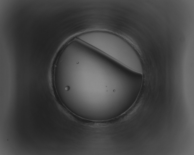 X0000100890942200806241006