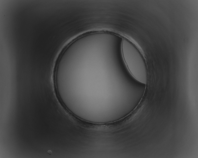 X0000100890943200806241006