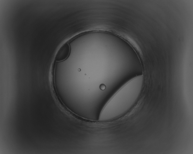 X0000100890944200806241006