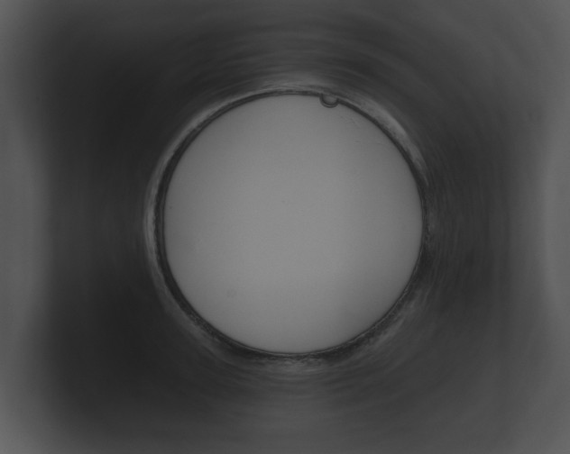 X0000100890947200806241006