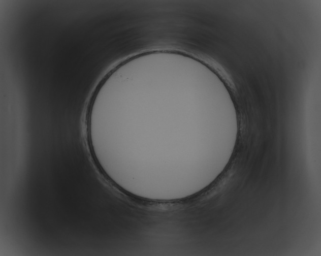 X0000100890950200806241006