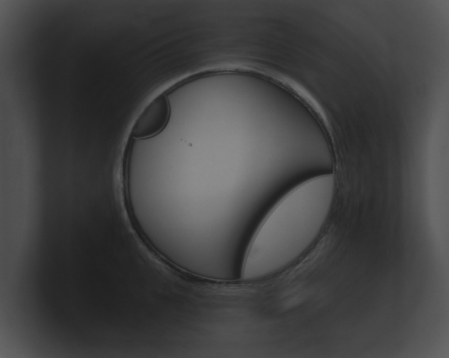 X0000100890951200806241006