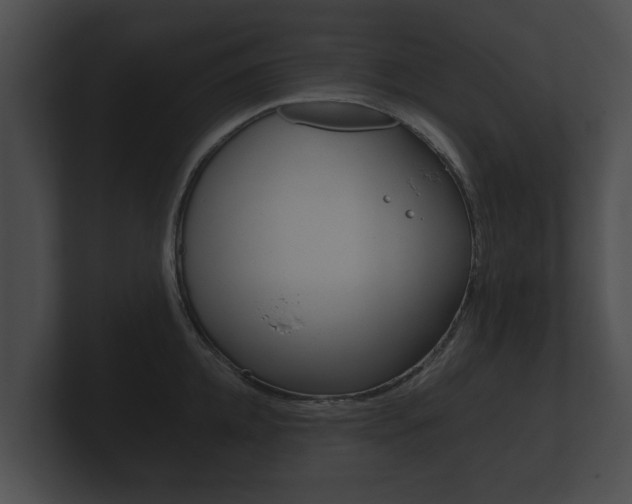 X0000100890952200806241006