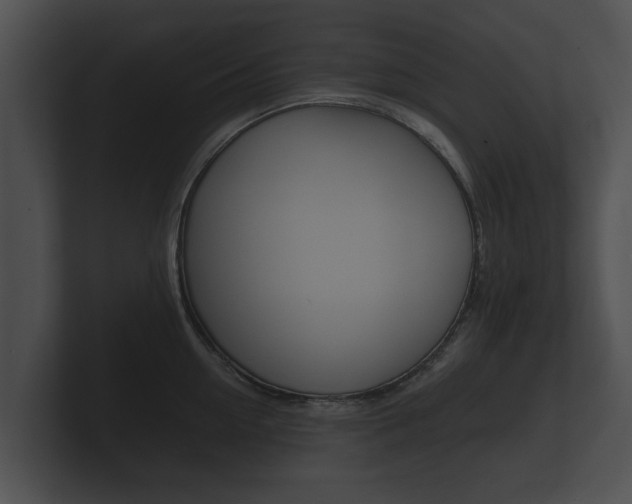 X0000100890954200806241006