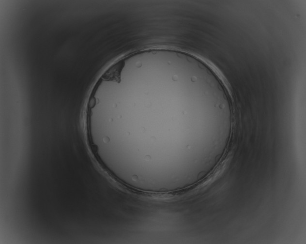 X0000100890957200806241006