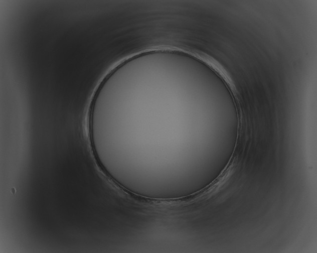 X0000100890958200806241006