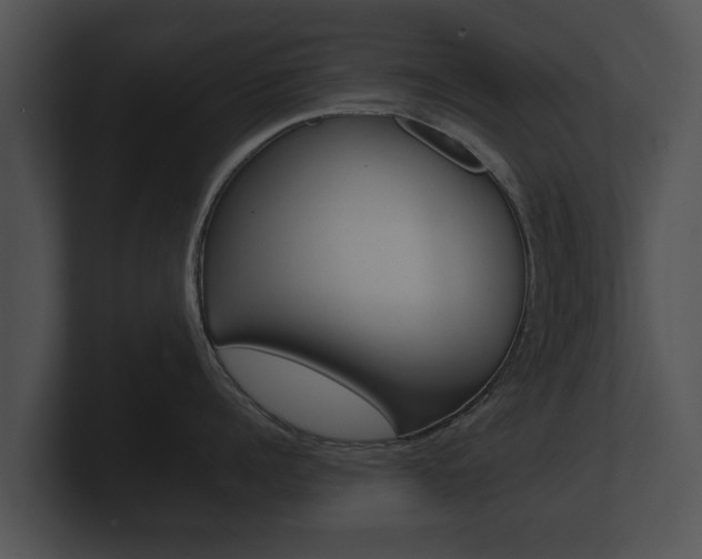 X0000100890960200806241006