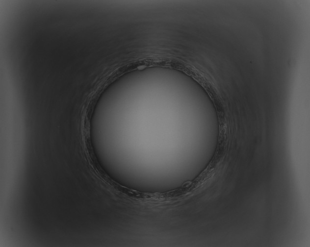 X0000100890961200806241005