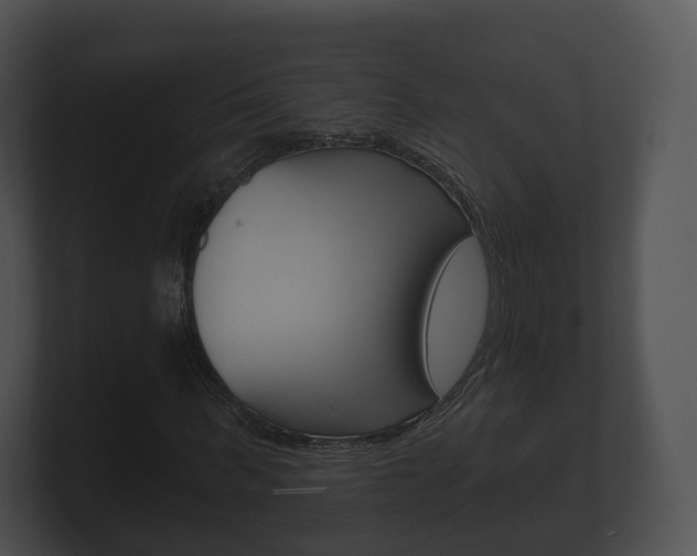 X0000100890963200806241005