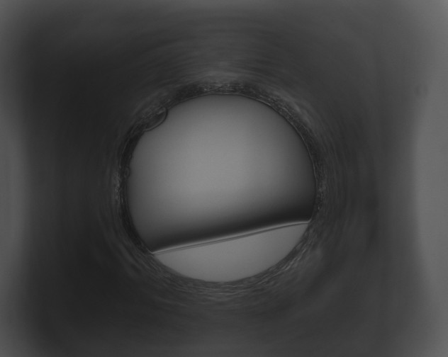 X0000100890964200806241005
