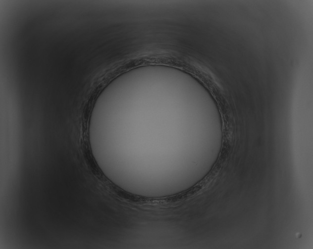 X0000100890966200806241005