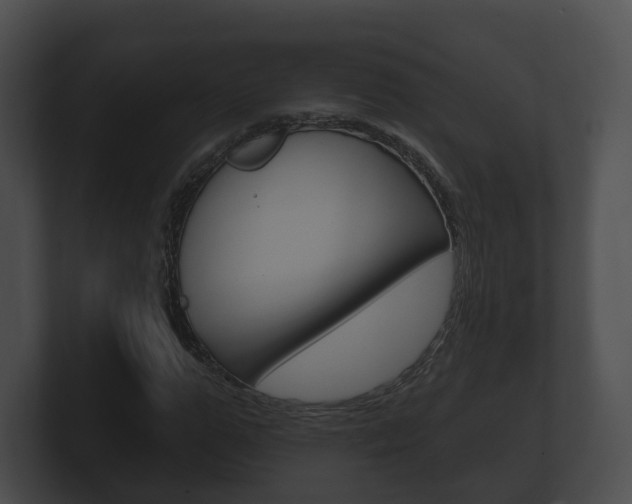 X0000100890967200806241005