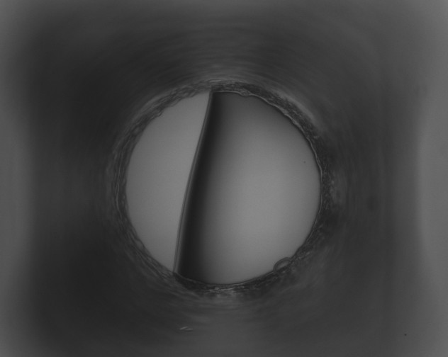 X0000100890968200806241005