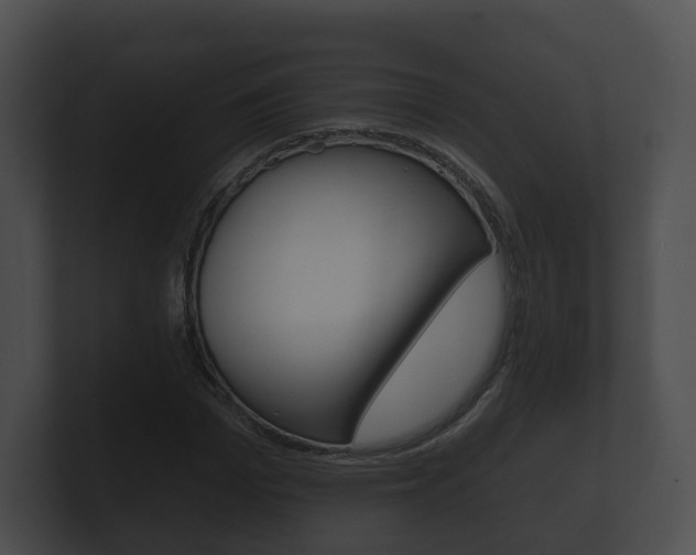 X0000100890969200806241005
