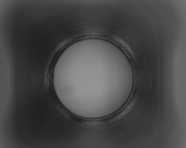 X0000100890970200806241005