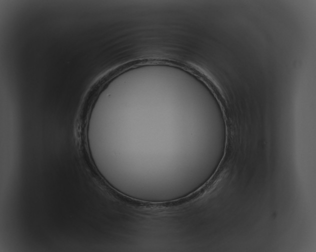 X0000100890971200806241005