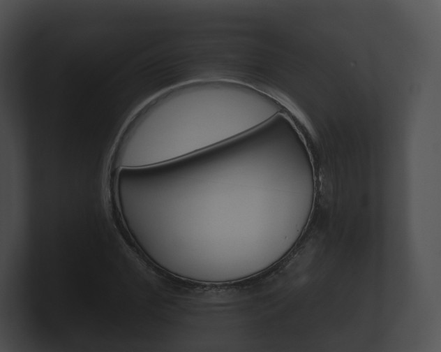 X0000100890972200806241005