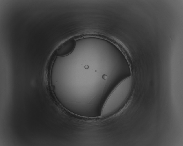 X0000100890973200806241005