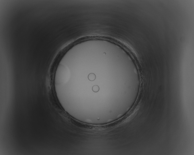 X0000100890974200806241005