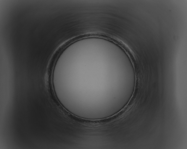 X0000100890975200806241005