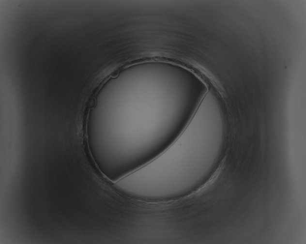 X0000100890977200806241005