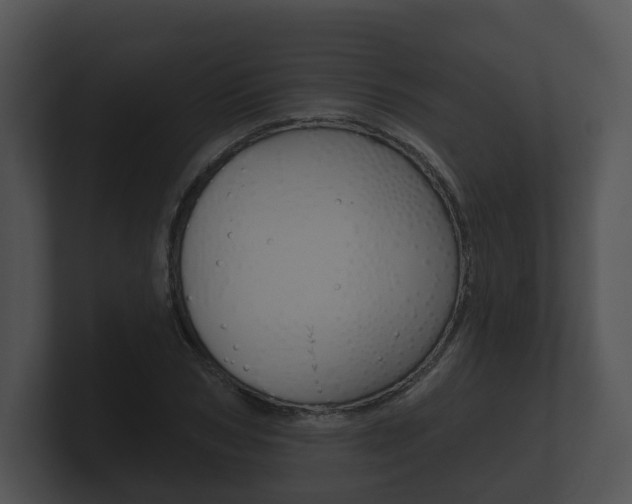 X0000100890978200806241005