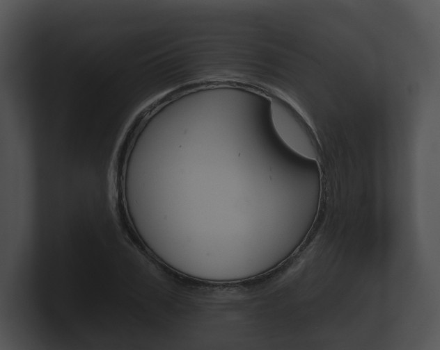 X0000100890979200806241005