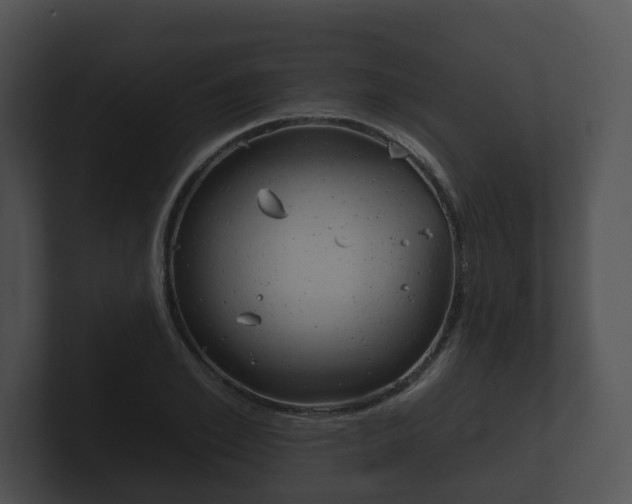 X0000100890981200806241005