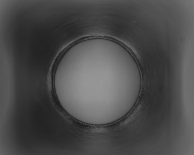 X0000100890982200806241005