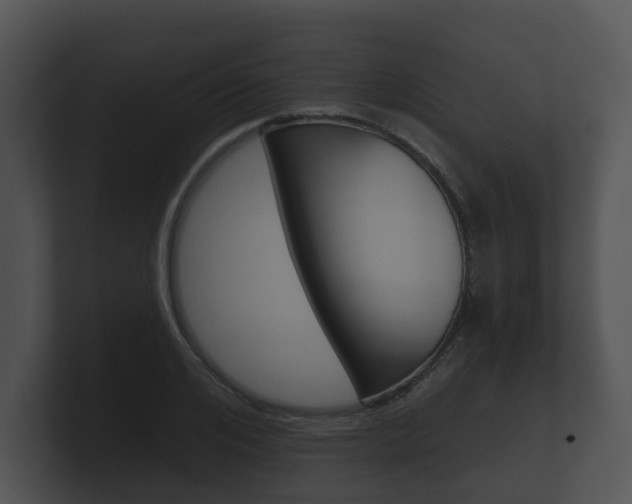 X0000100890984200806241005