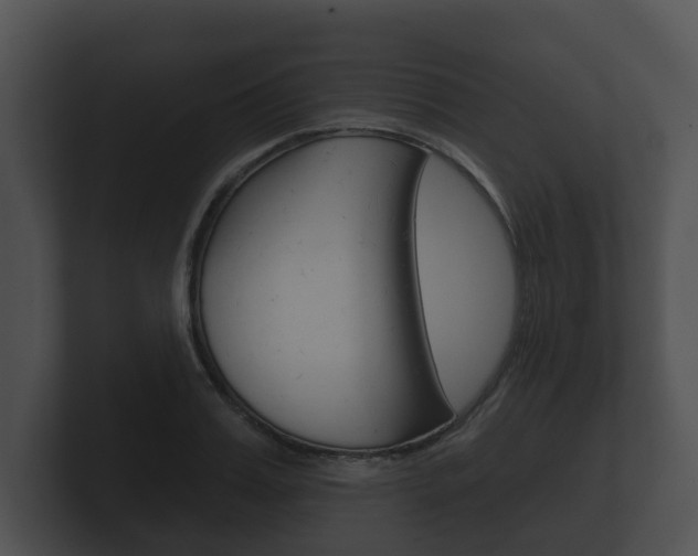 X0000100890987200806241005