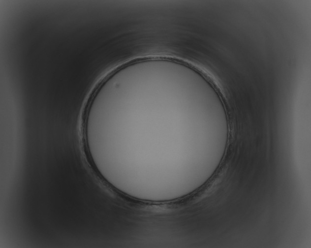 X0000100890990200806241005