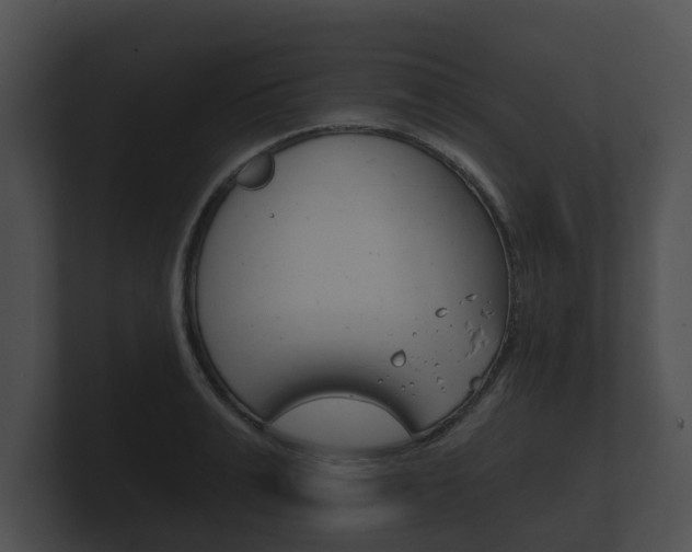 X0000100890991200806241005