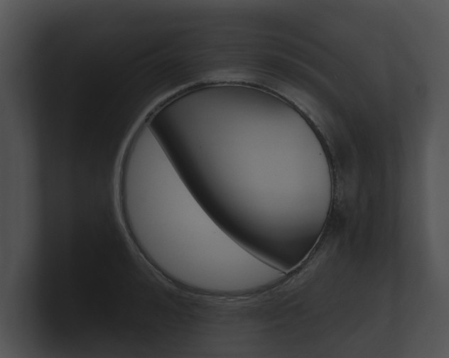 X0000100890992200806241005