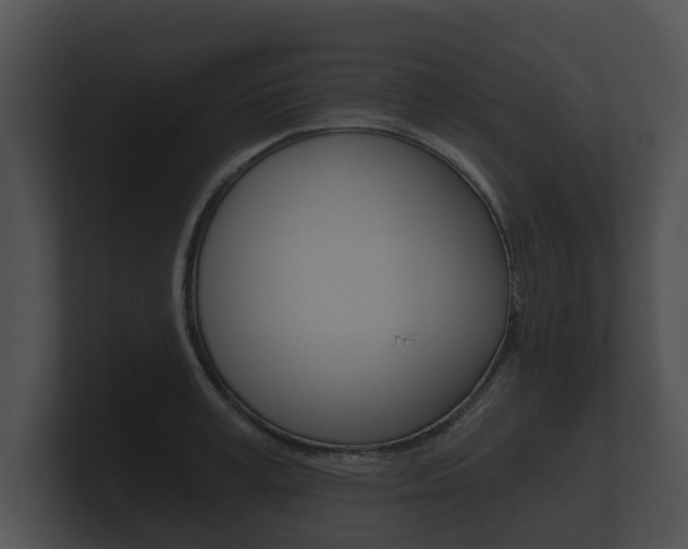 X0000100890995200806241005