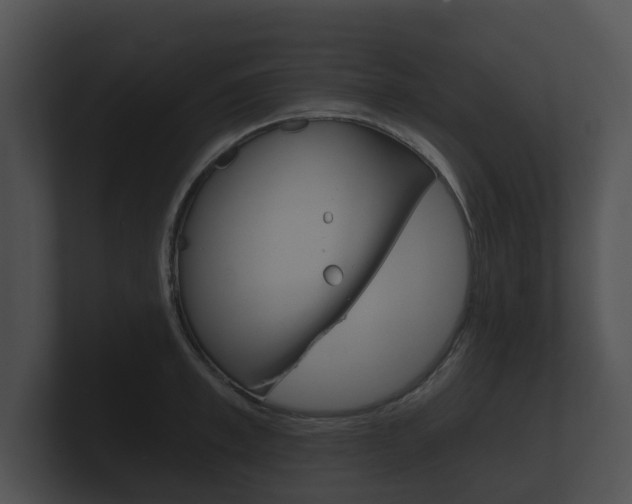 X0000100890997200806241005
