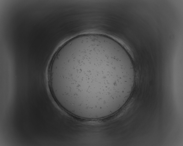 X0000100890998200806241005