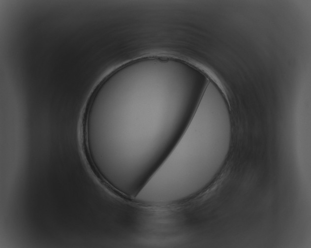 X0000100890999200806241005