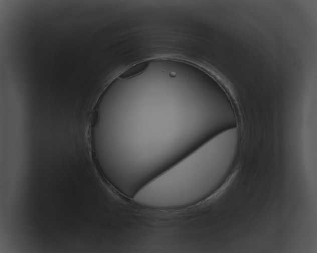 X0000100891001200806241005
