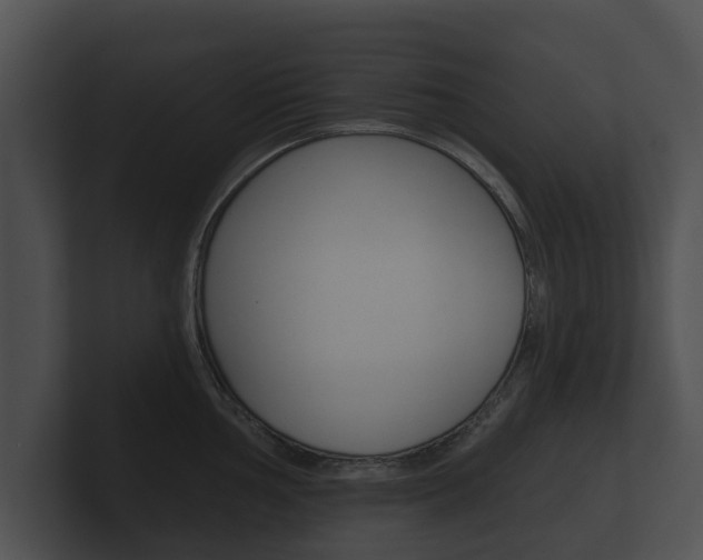 X0000100891002200806241005