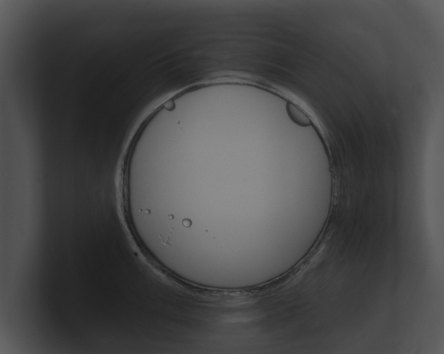 X0000100891003200806241005