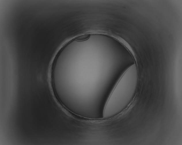 X0000100891005200806241005